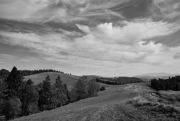DSC_9663.jpg