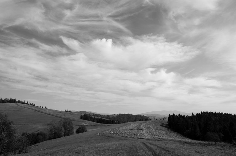 DSC_8661.jpg