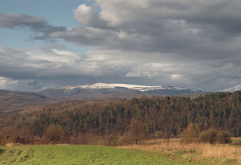 DSC_7958_2.jpg