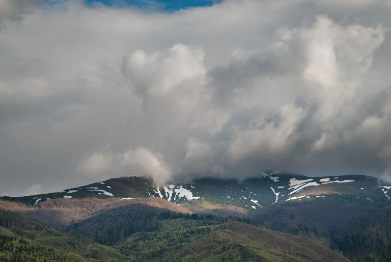 DSC_6417.jpg