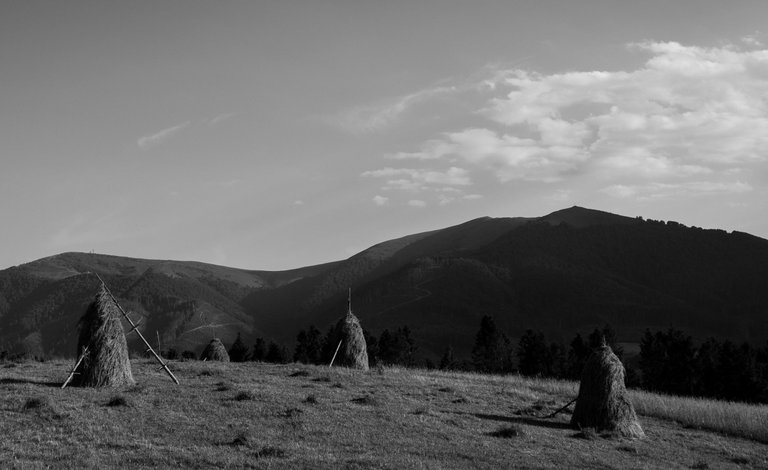 DSC_6348-2.jpg