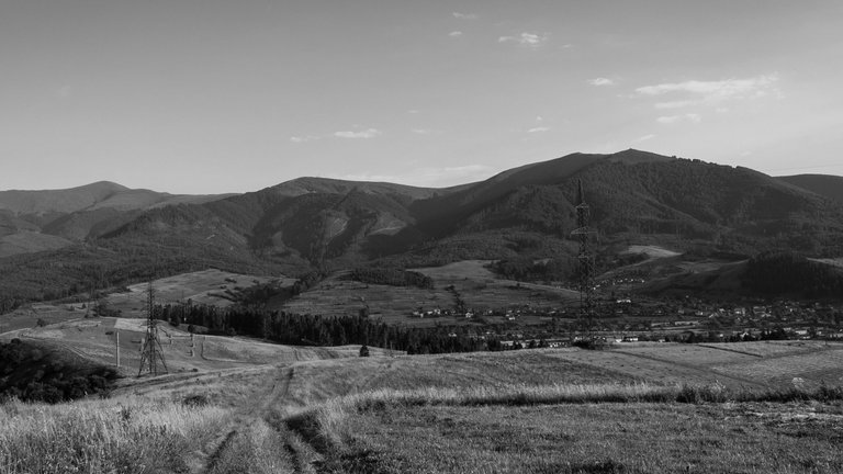 DSC_6397.jpg