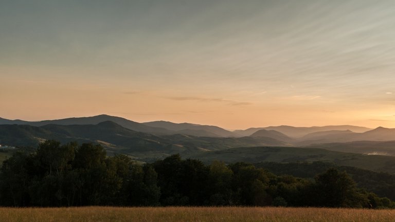 DSC_6498.jpg