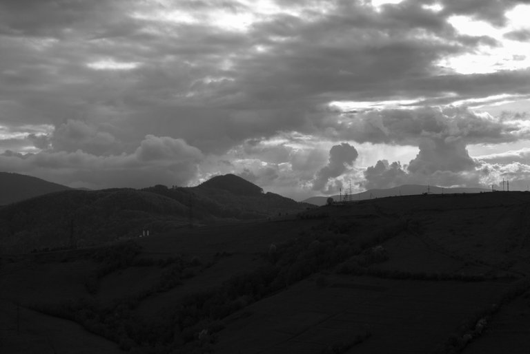 DSC_6517.jpg