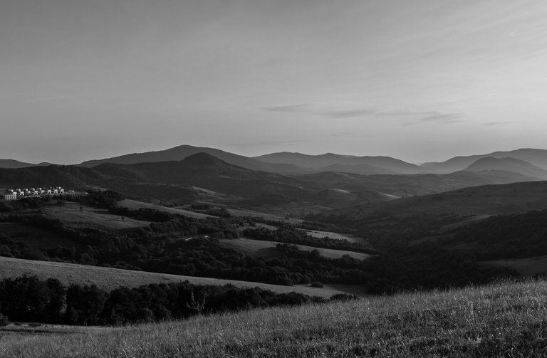 DSC_6465.jpg