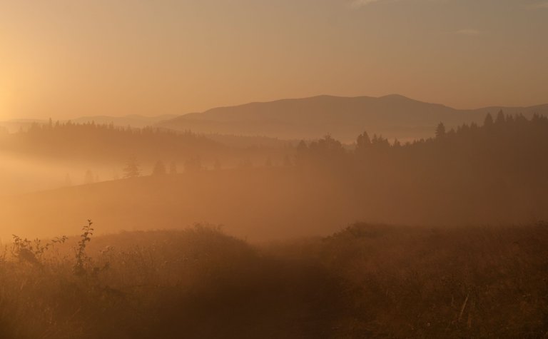 DSC_8194-HDR.jpg