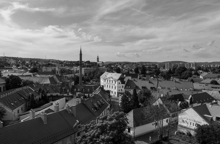DSC_7319.jpg