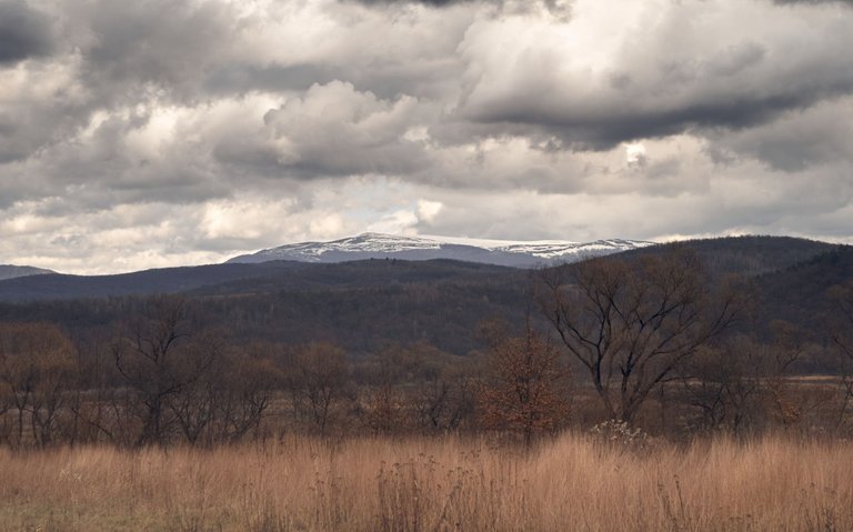 DSC_7797 1.jpg