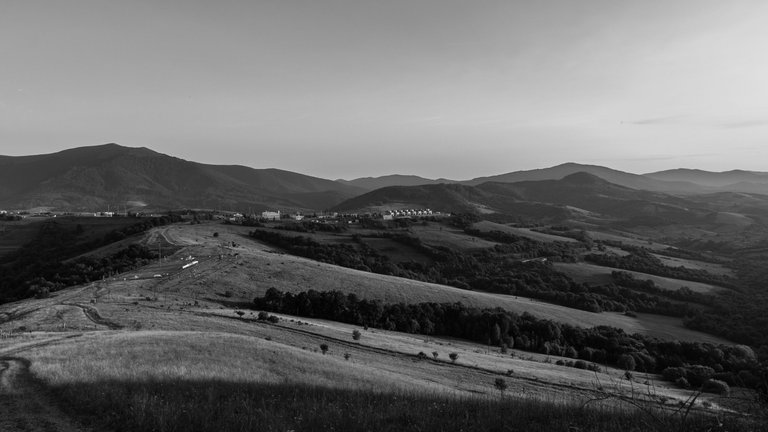 DSC_6478.jpg