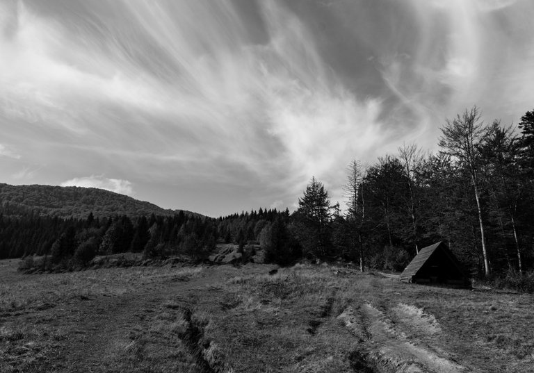 DSC_9613.jpg