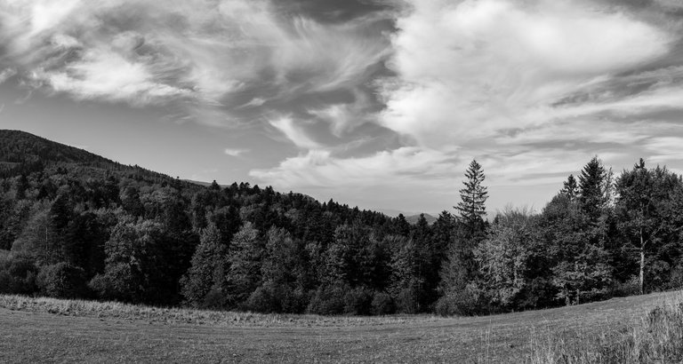 DSC_9626-p.jpg