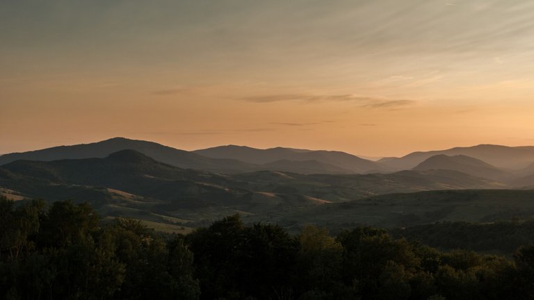 DSC_6500.jpg
