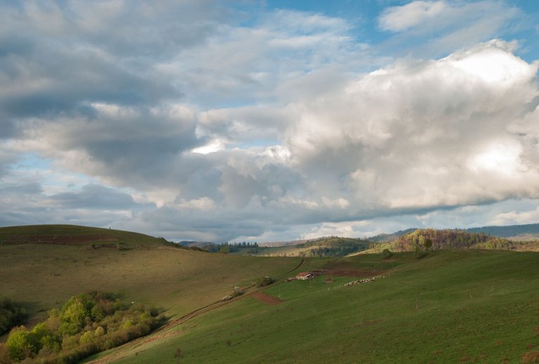 DSC_7535.jpg