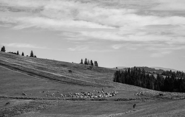 DSC_9652.jpg