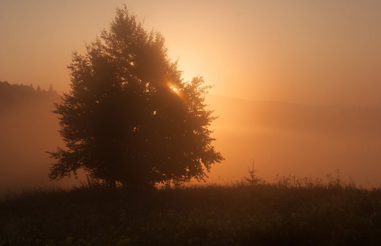 DSC_8181-HDR.jpg