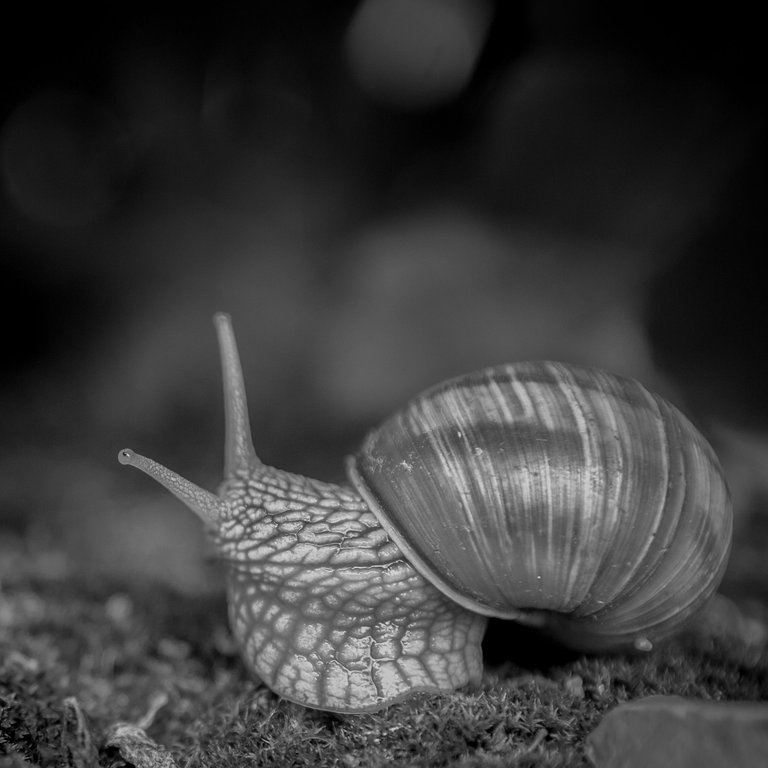 DSC_6229.jpg
