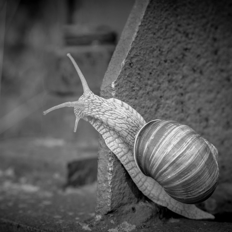 DSC_6482.jpg