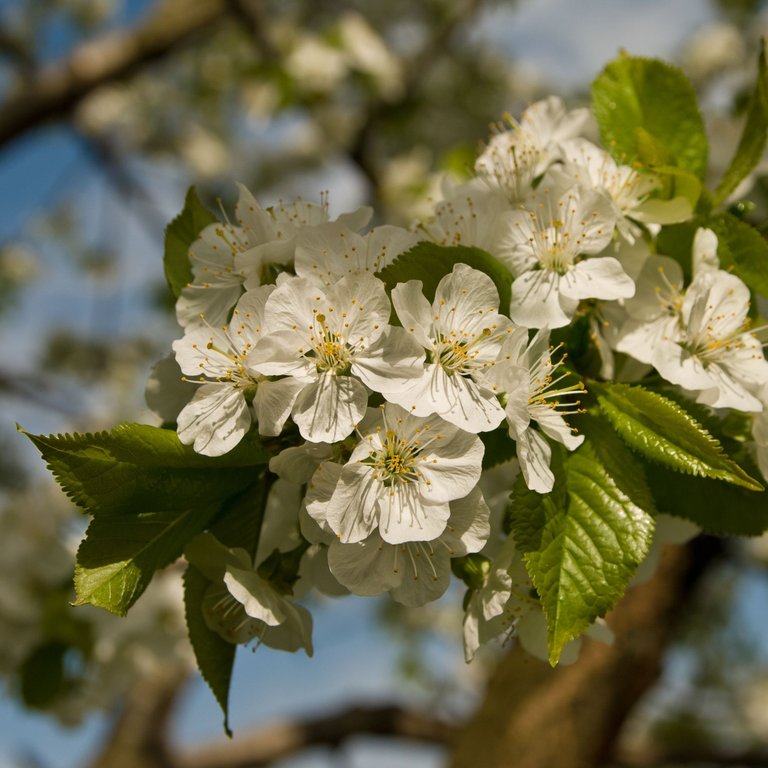 DSC_6214.jpg