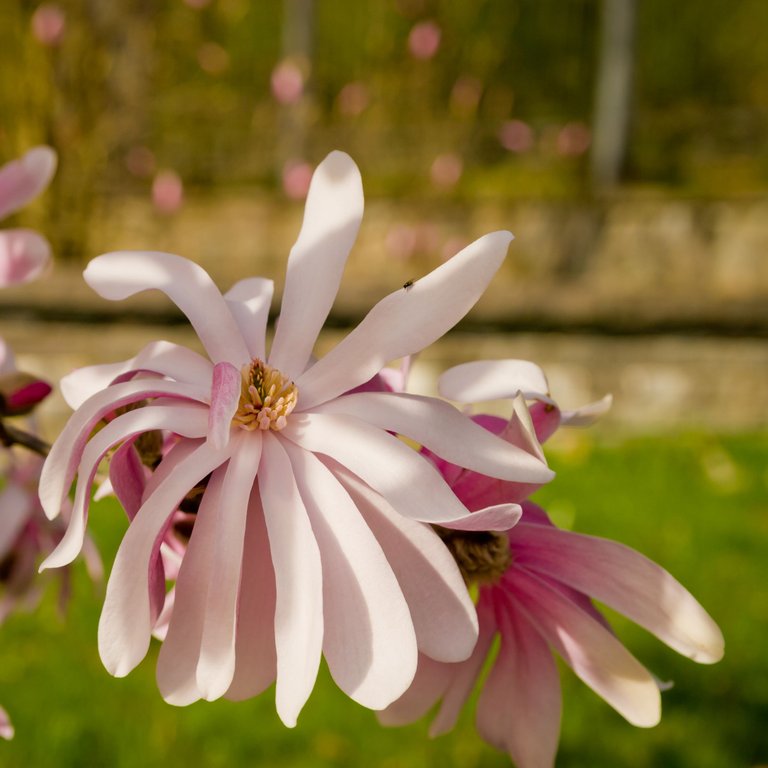 DSC_6459.jpg