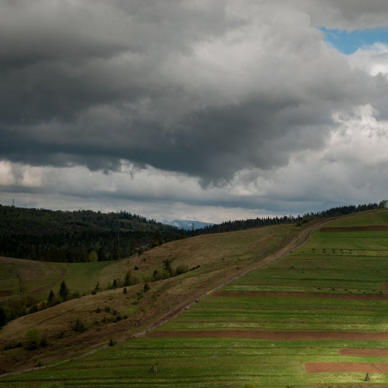 DSC_6317-3.jpg