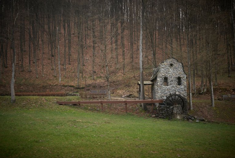 DSC_7909.jpg