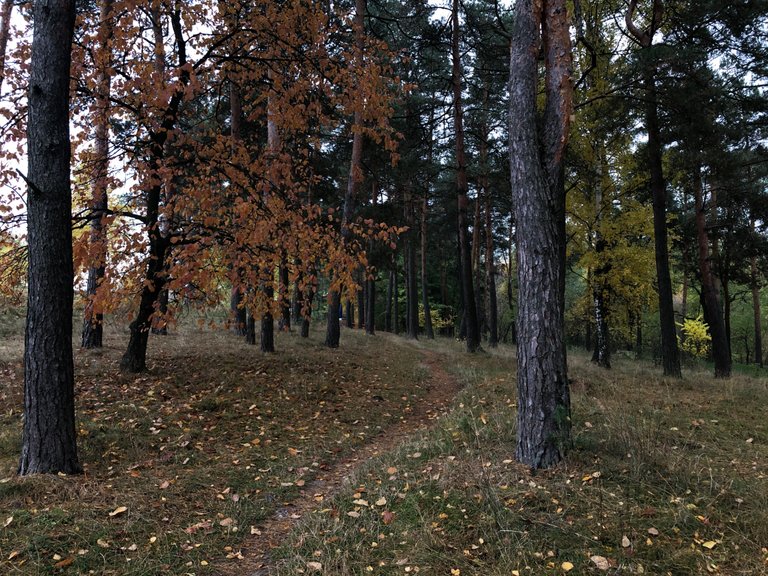 IMG_0573.jpeg