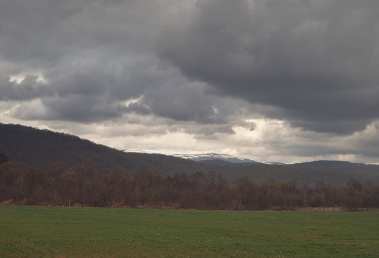 DSC_7809.jpg
