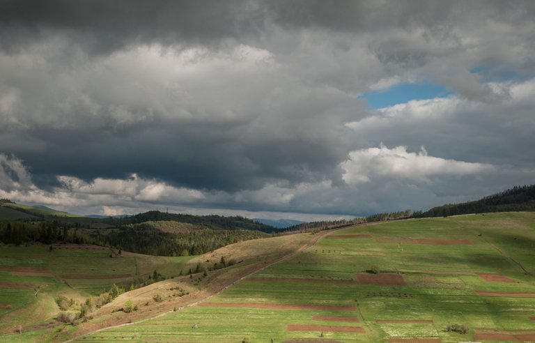 DSC_6344.jpg