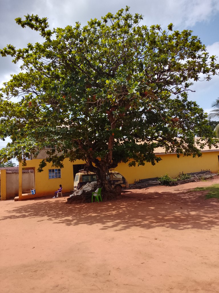 1000016476.jpg