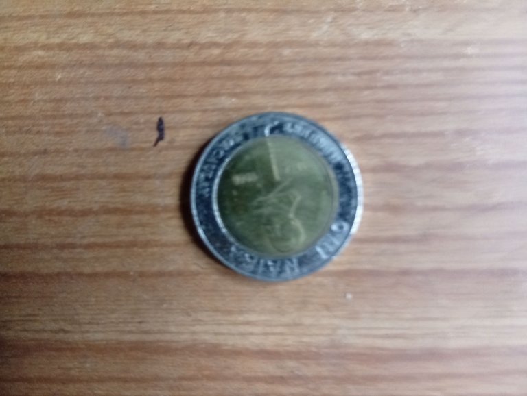 1000261332.jpg