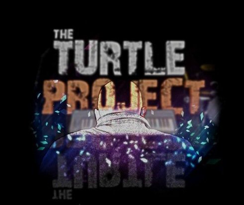 artworks-turtleproject.jpeg