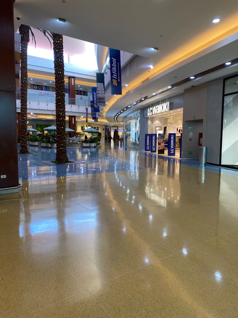 IMG_8010.jpeg