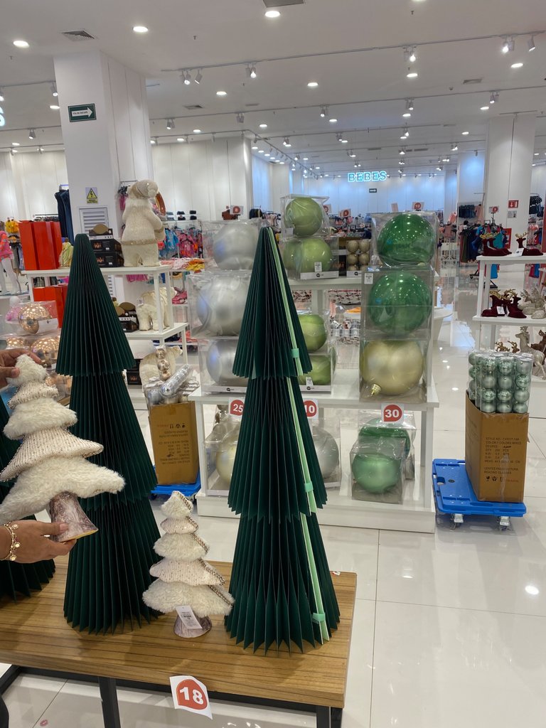 IMG_5089.jpeg