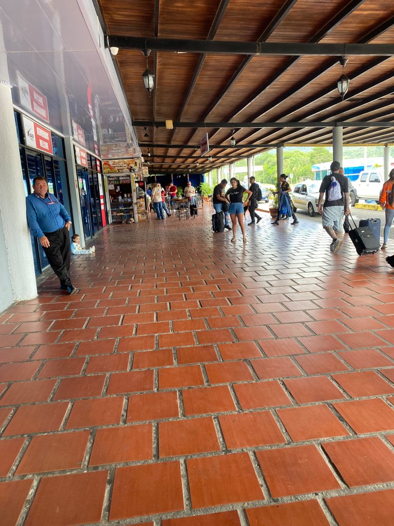 IMG_8223.jpeg