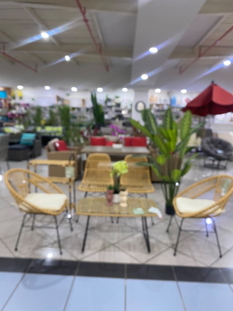 IMG_1689.jpeg