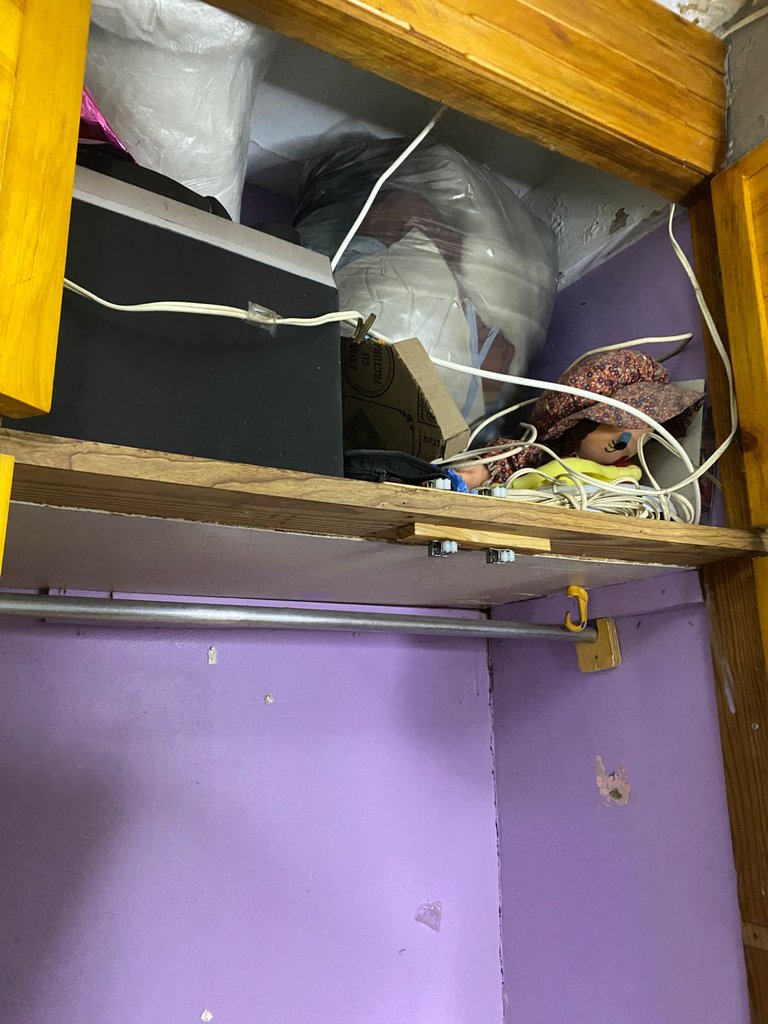 IMG_2788.jpeg