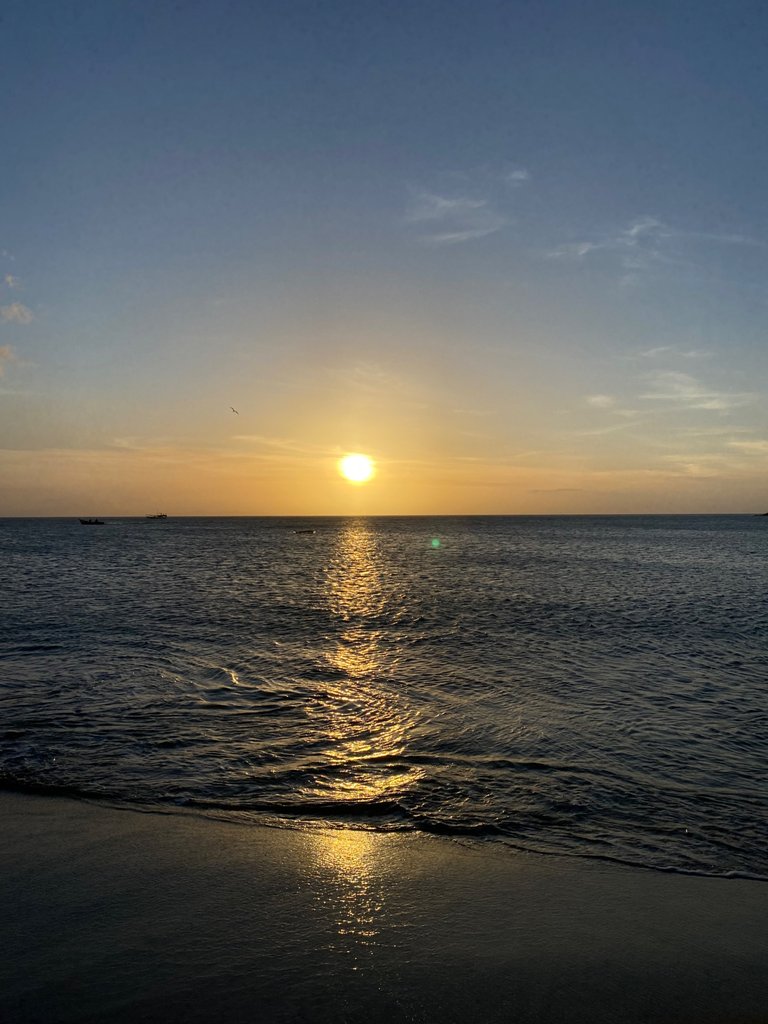 IMG_8875.jpeg