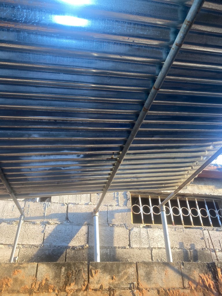 IMG_8093.jpeg