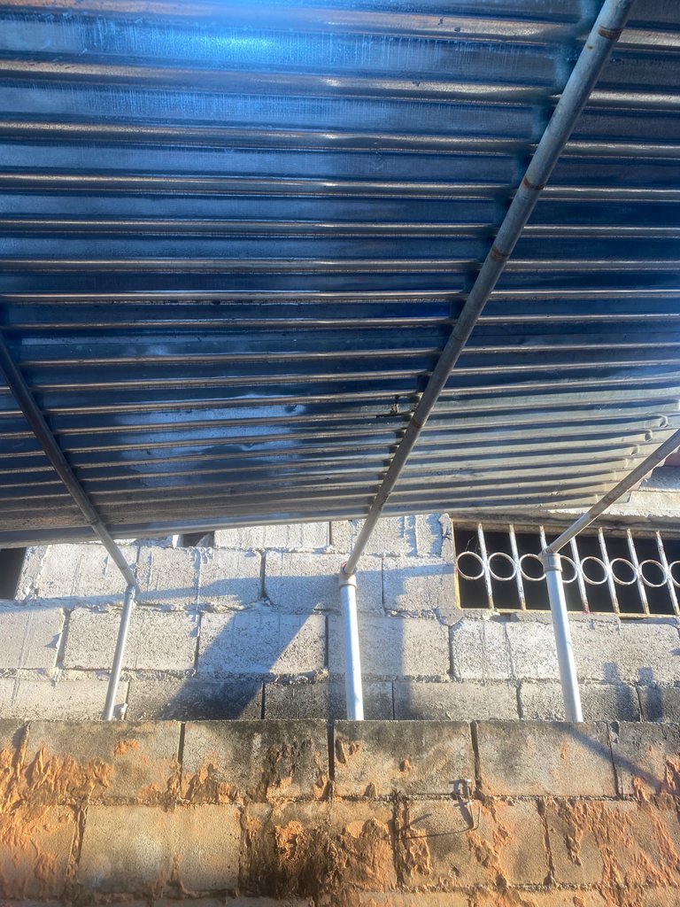 IMG_8092.jpeg