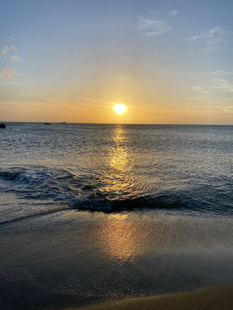 IMG_8874.jpeg