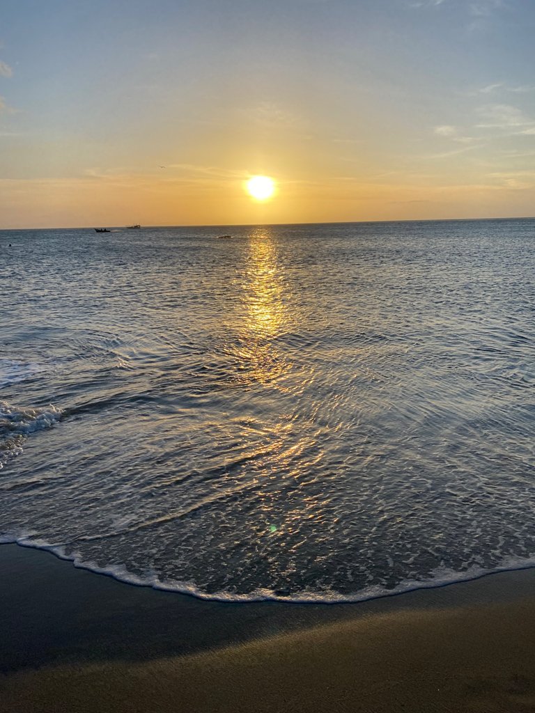 IMG_8873.jpeg