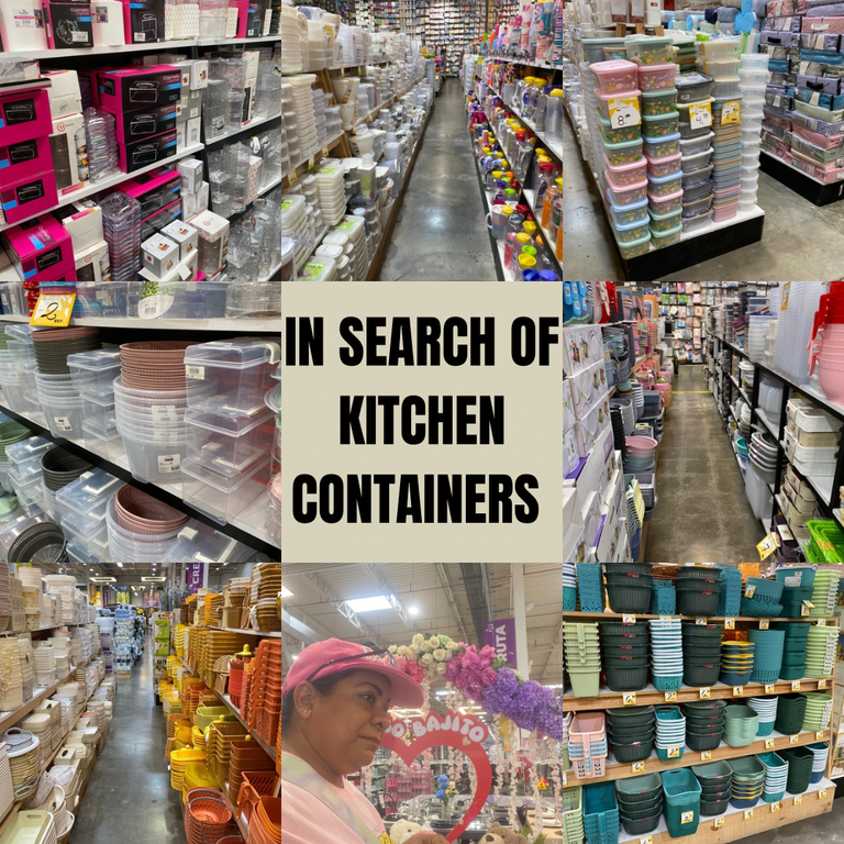 IN SEARCH OF KITCHEN CONTAINERS.png