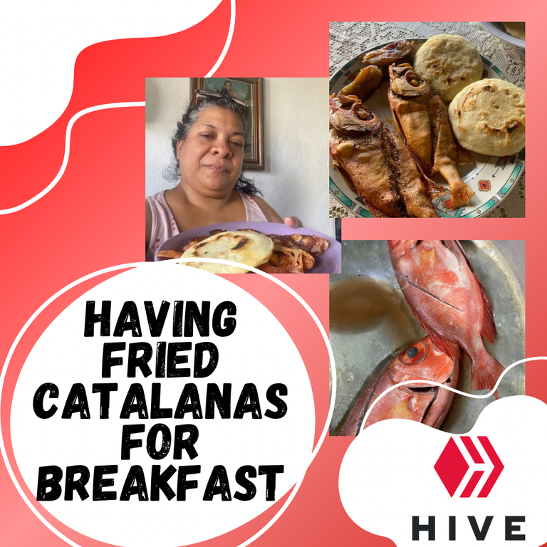 HAVING FRIED CATALANAS FOR BREAKFAST.png