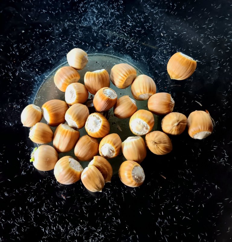1000014638.jpg