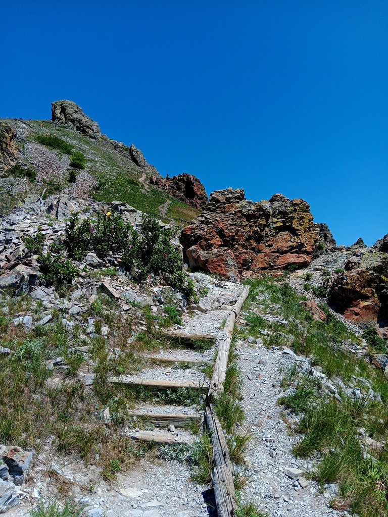 20250615_114720.jpg