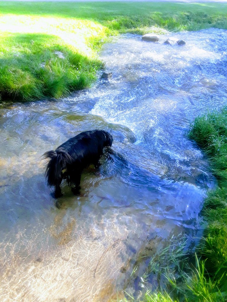 20190711_174944-EFFECTS.jpg
