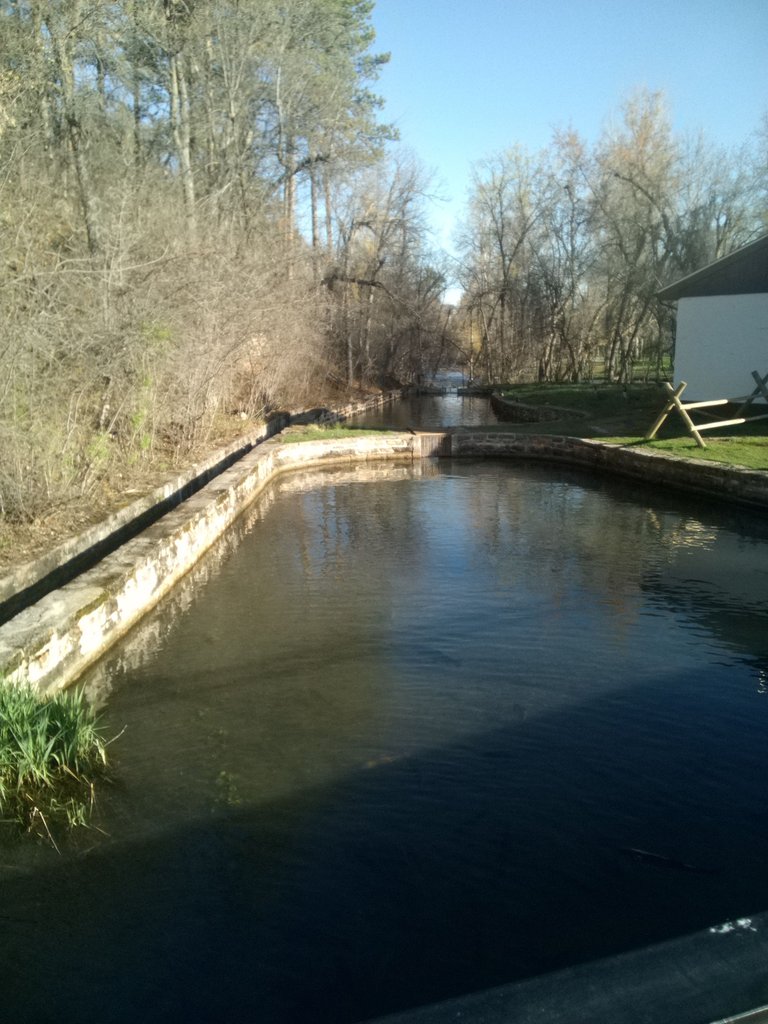 IMG_20250502_072505_740.jpg