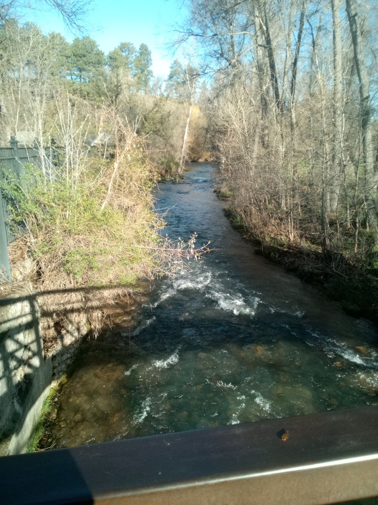 IMG_20250502_072806_373.jpg