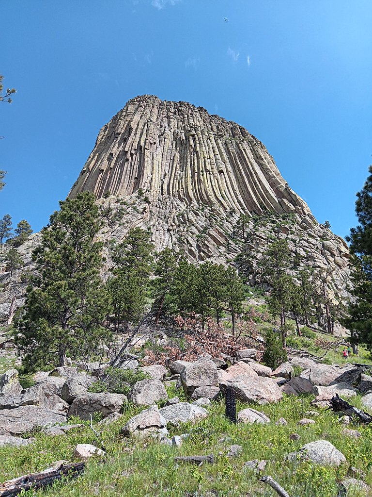 20250611_103253.jpg