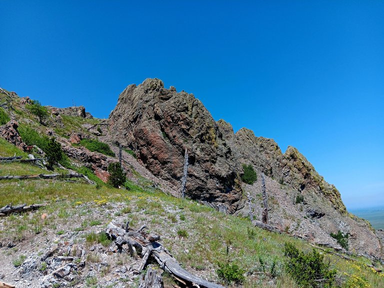 20250615_115143.jpg